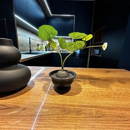 1Br Modern Condo Near The University София Экстерьер фото
